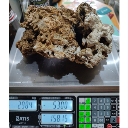 Żywa skała do akwarium morskiego - bryła nr. 8